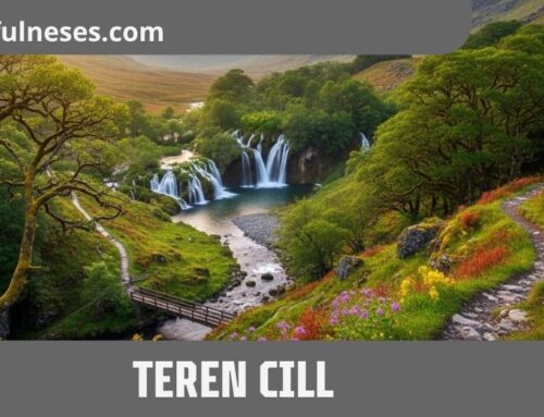 Teren Cill: A Complete Guide to Meaning, Purpose, and Practical Use in Modern Life