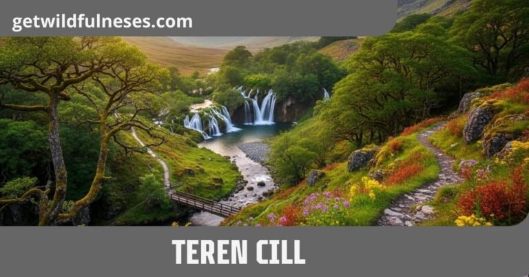 Teren Cill